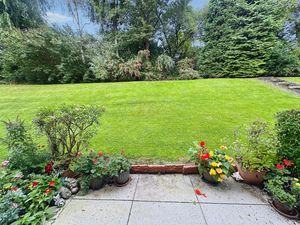Communal Gardens- click for photo gallery